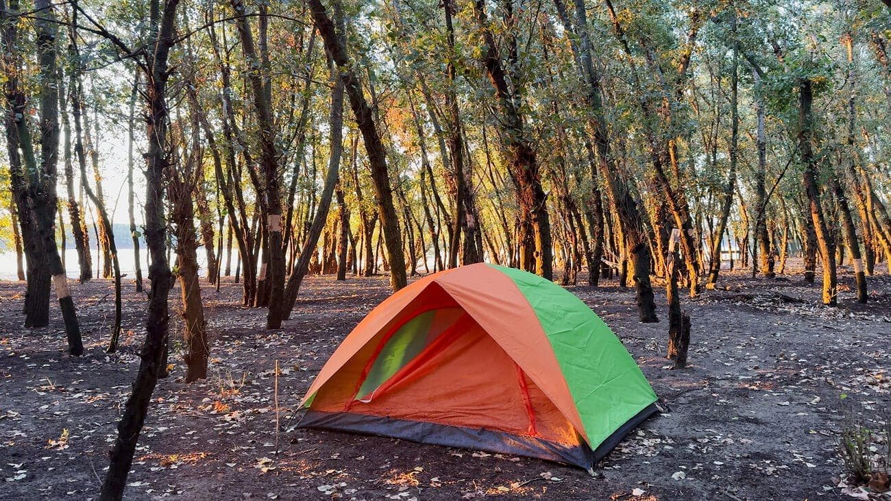 Tent camping in the forest